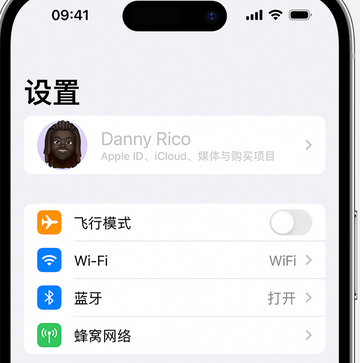 南和appleID维修服务iPhone设置中Apple ID显示为灰色无法使用 