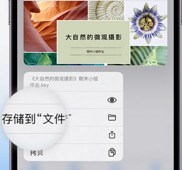 南和apple维修中心分享iPhone文件应用中存储和找到下载文件