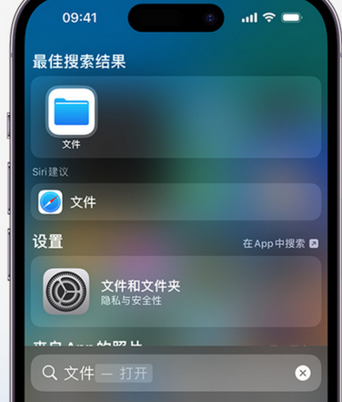 南和apple维修中心分享iPhone文件应用中存储和找到下载文件