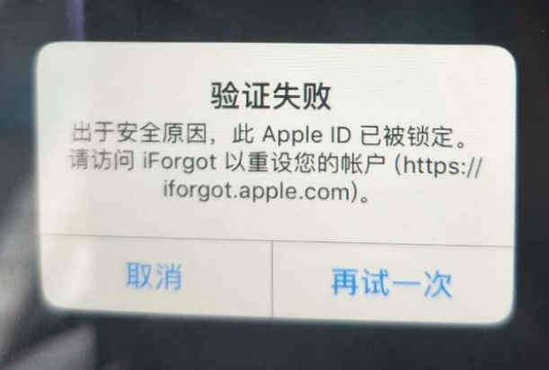 南和iPhone维修分享iPhone上正常登录或使用AppleID怎么办 