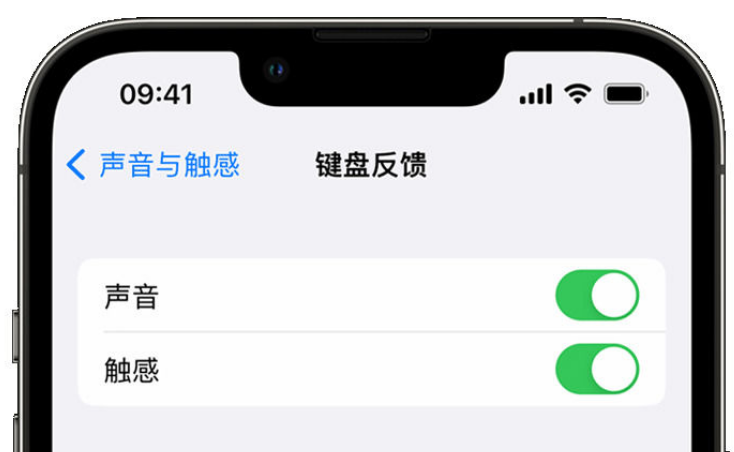 南和苹果手机维修分享iPhone 14触感键盘使用方法 