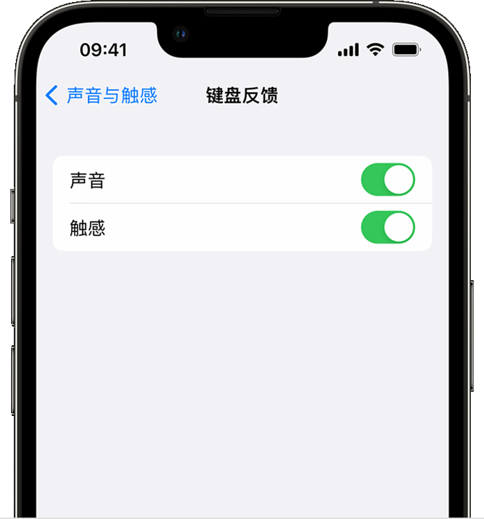 南和苹果14维修店分享如何在 iPhone 14 机型中使用触感键盘 