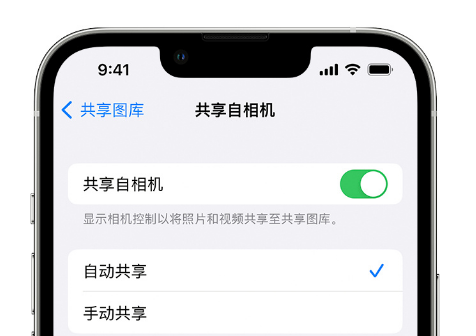 如何在 iPhone 上通过共享图库分享照片？