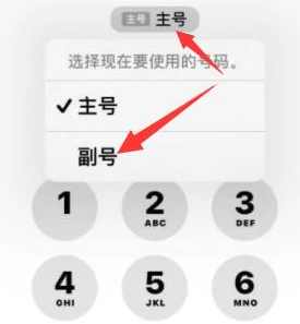 南和苹果14维修店分享iPhone 14 Pro Max使用副卡打电话的方法 