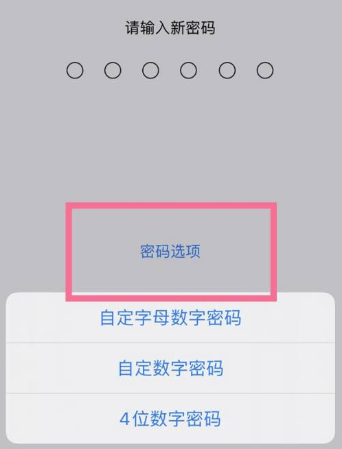 南和苹果14维修分享iPhone 14plus设置密码的方法 