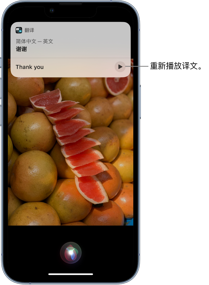 南和苹果14维修分享 iPhone 14 机型中使用 Siri：了解 Siri 能帮你做什么 