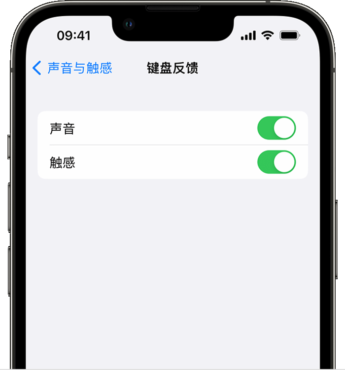 南和苹果14维修分享iPhone 14 系列机型如何开启键盘声音或触感反馈 