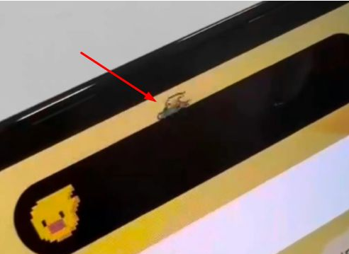 南和苹果14维修分享iPhone 14 Pro Max灵动岛怎么养宠物 