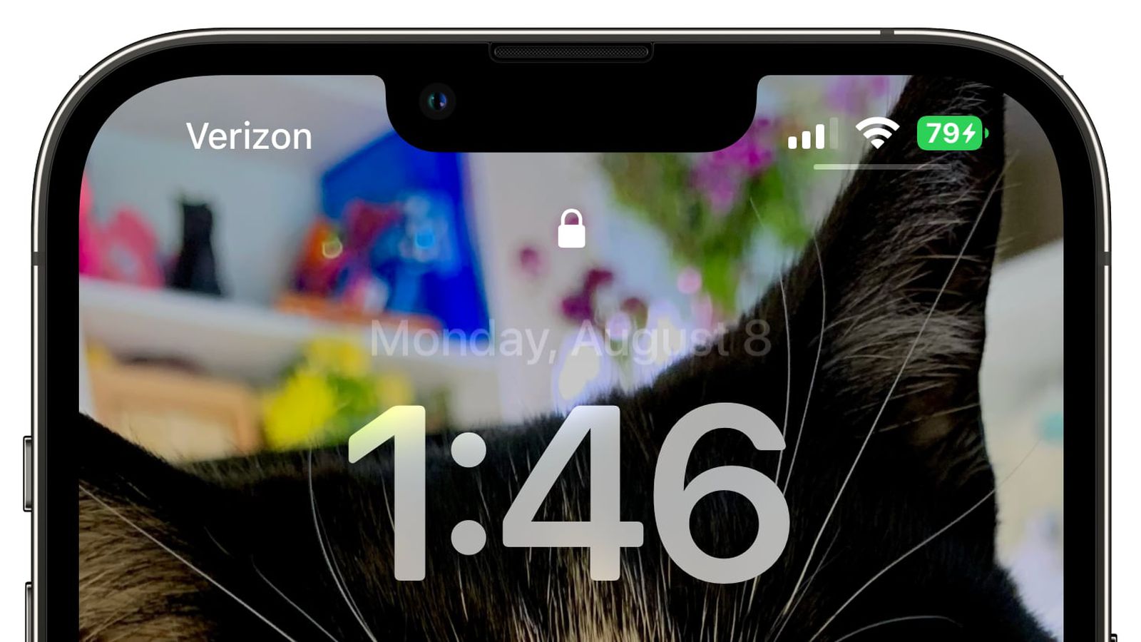 南和苹果手机维修分享iOS 16 beta 5 支持状态栏显示电池百分比，如何开启？支持哪些机型 