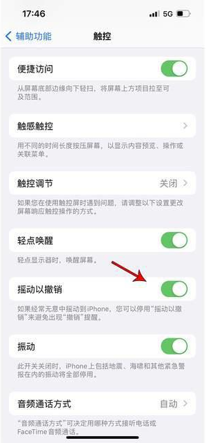 南和苹果手机维修分享iPhone手机如何设置摇一摇删除文字 