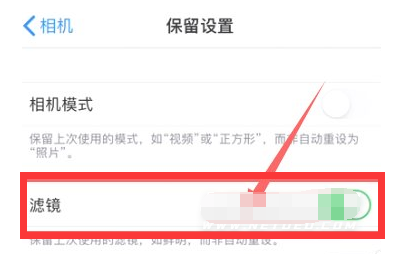 南和苹果13维修分享iPhone13拍照有绿点是怎么回事 