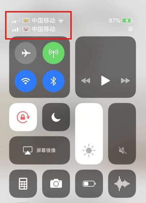 南和苹果手机维修分享为 iPhone 12 双卡设置标签 
